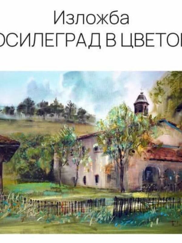 Народното събрание открива благотворителна изложба за българите в Босилеград